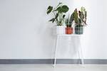 b.for soft rond 16cm blad groen